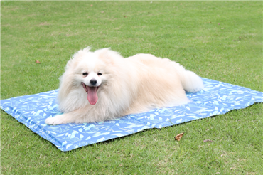 Bubu Στρώμα Cooling Mat XLarge 100x70cm